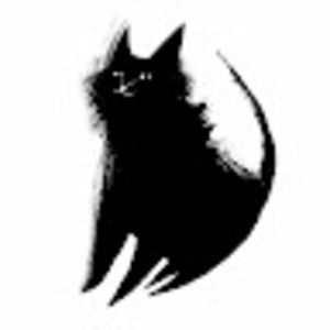 Meet your Posher, Monika